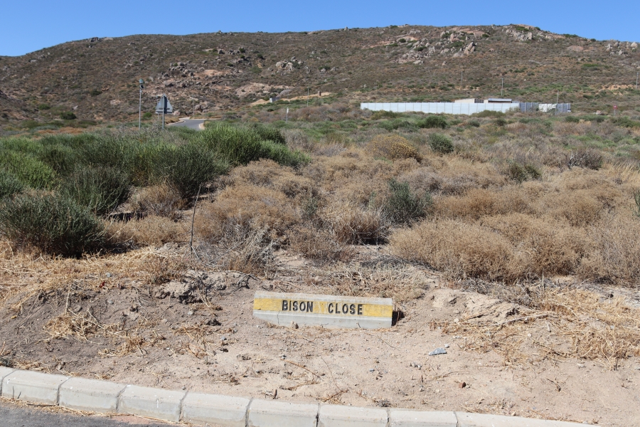0 Bedroom Property for Sale in Steenbergs Cove Western Cape